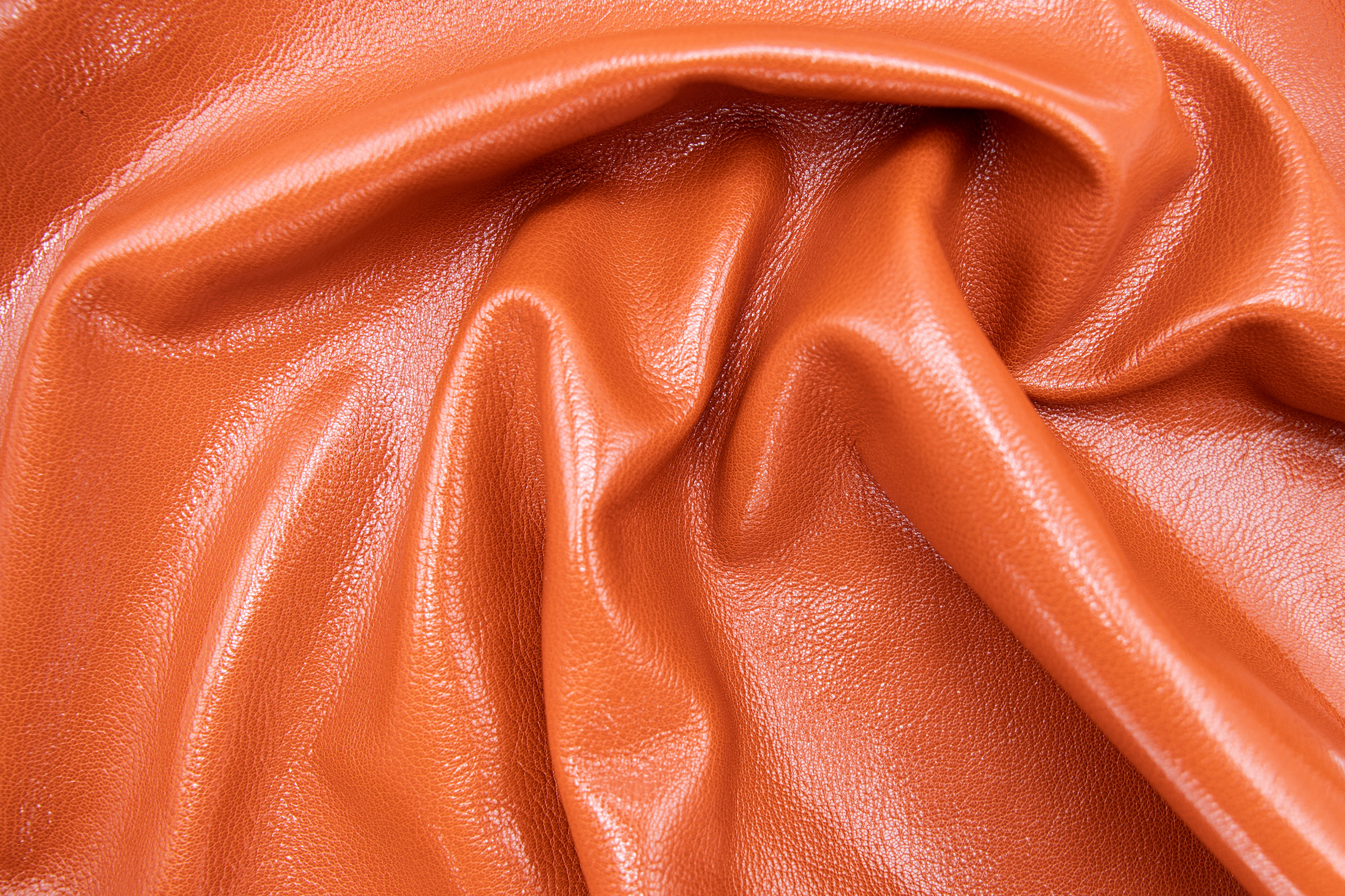 amelie-lux309-4jpg-A